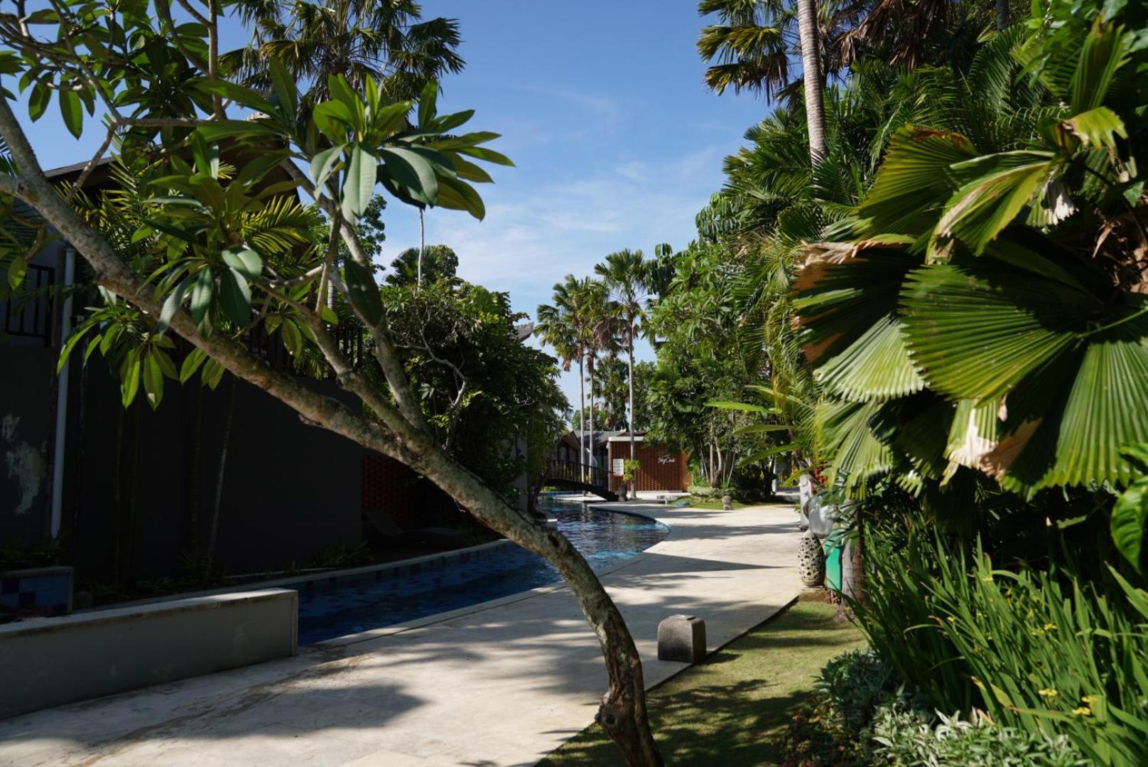 Dancing Garden In *